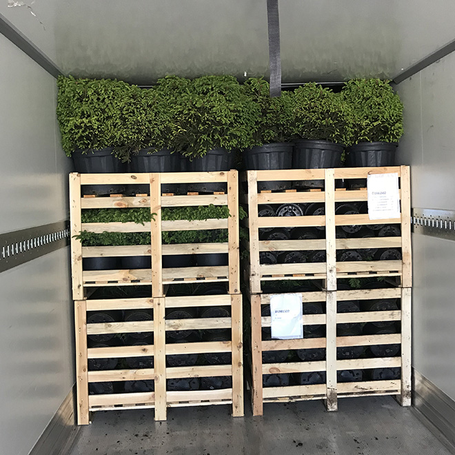 Palletdozen met planten, geoptimaliseerd voor ruimte-efficiënt transport.