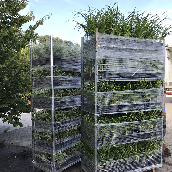 Trolleys geladen met planten, gewikkeld voor georganiseerd transport.
