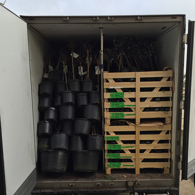 Gecombineerd laden van planten met behulp van pallets en plastic containers voor efficiënt transport.